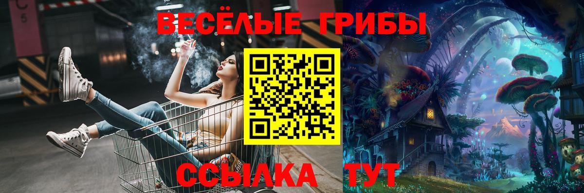 Псилоцибиновые грибы Cubensis Вышний Волочёк